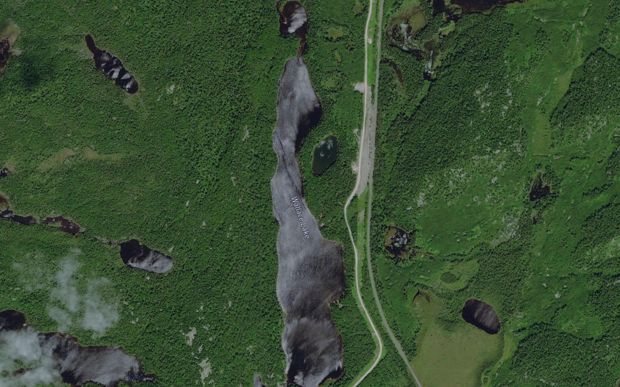 Wallace Lake
