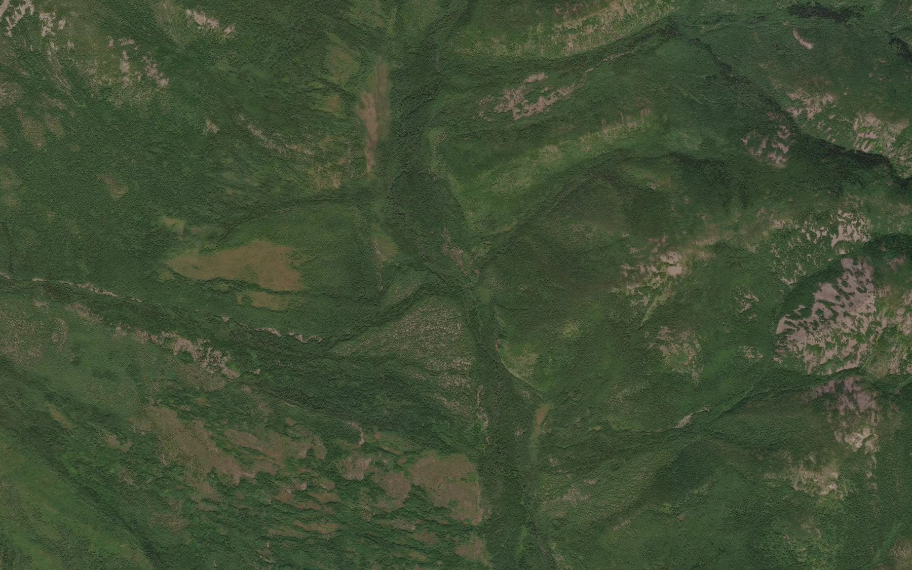 Satellite map of the Bosko