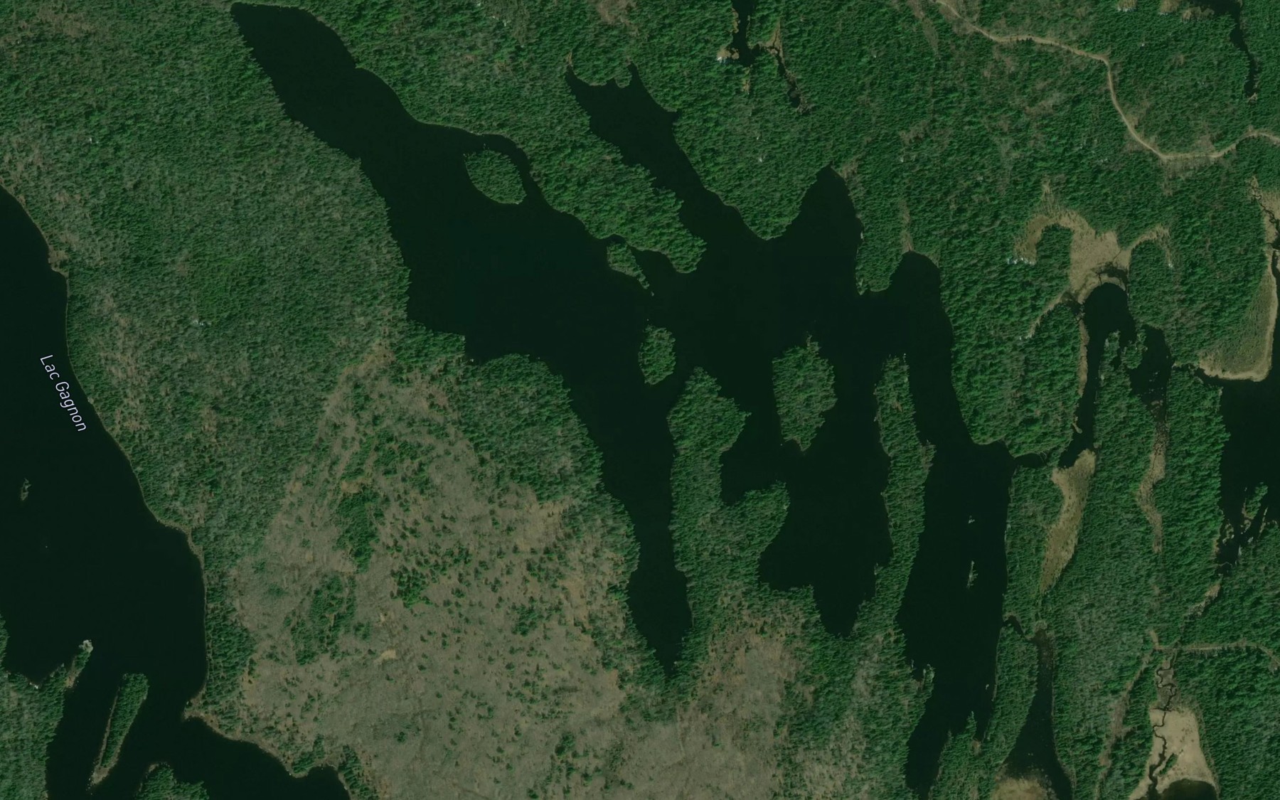 Satellite map of the Lac McDonald