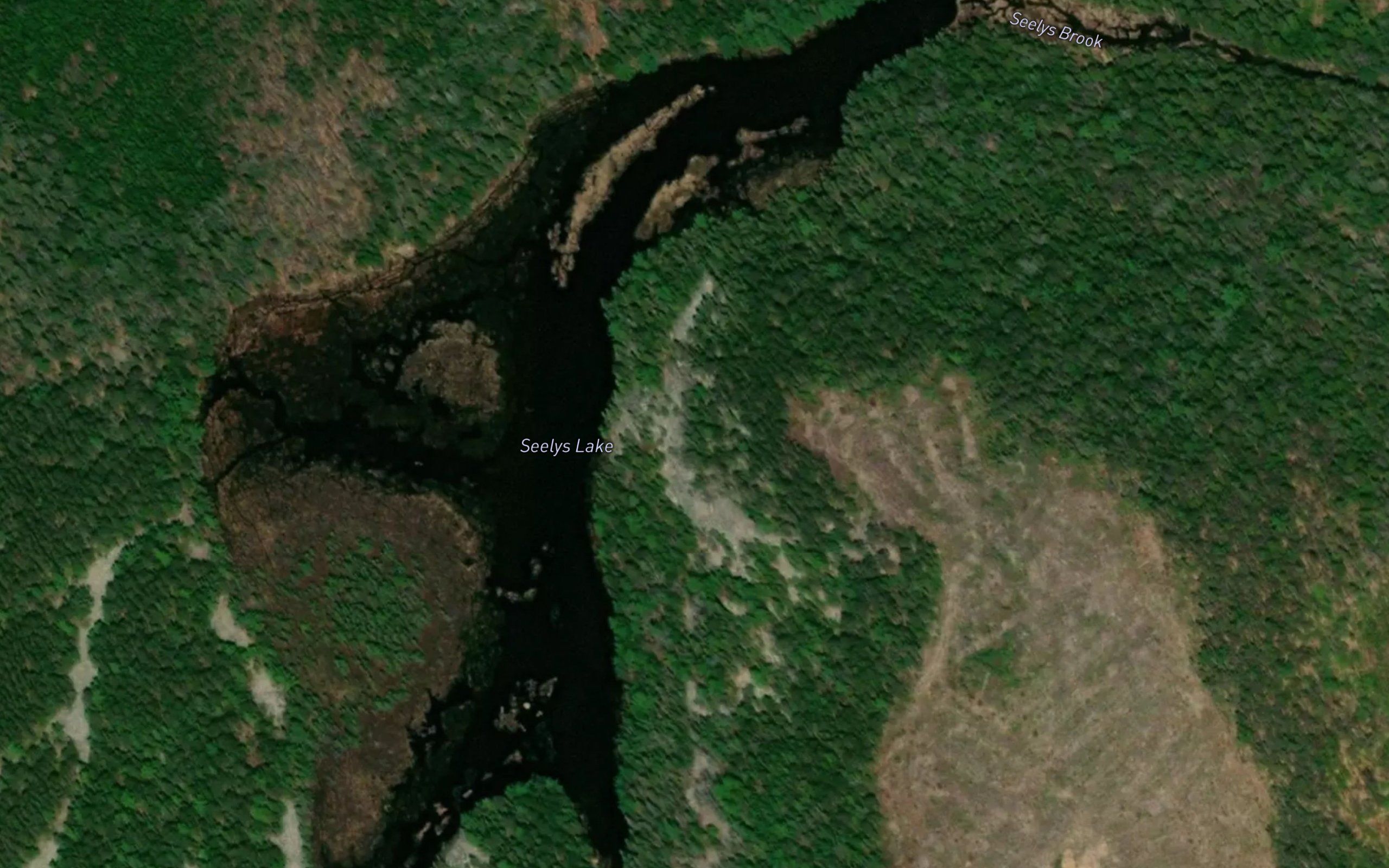 Seelys Lake