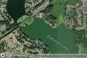 Pattison Lake