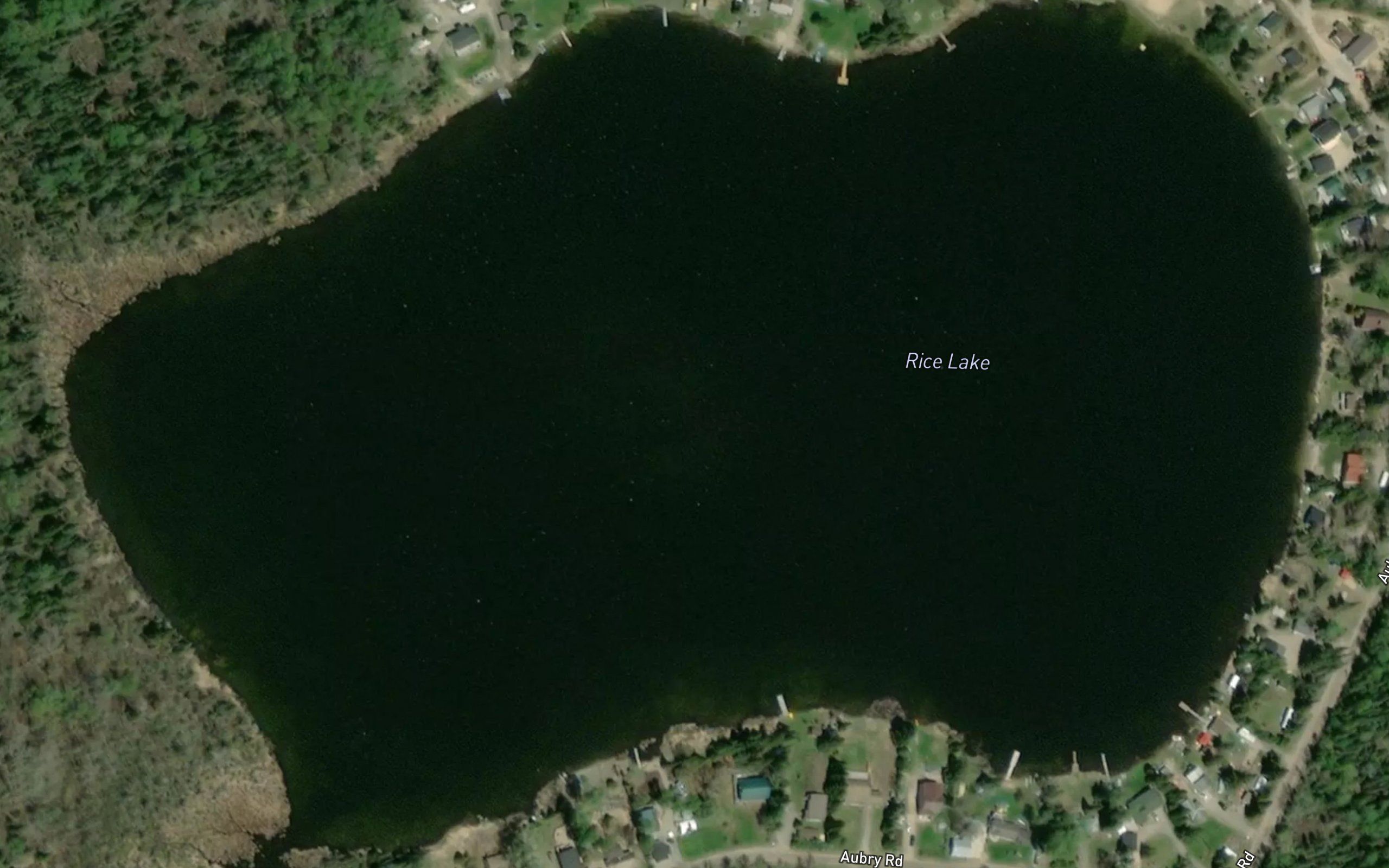Rice Lake