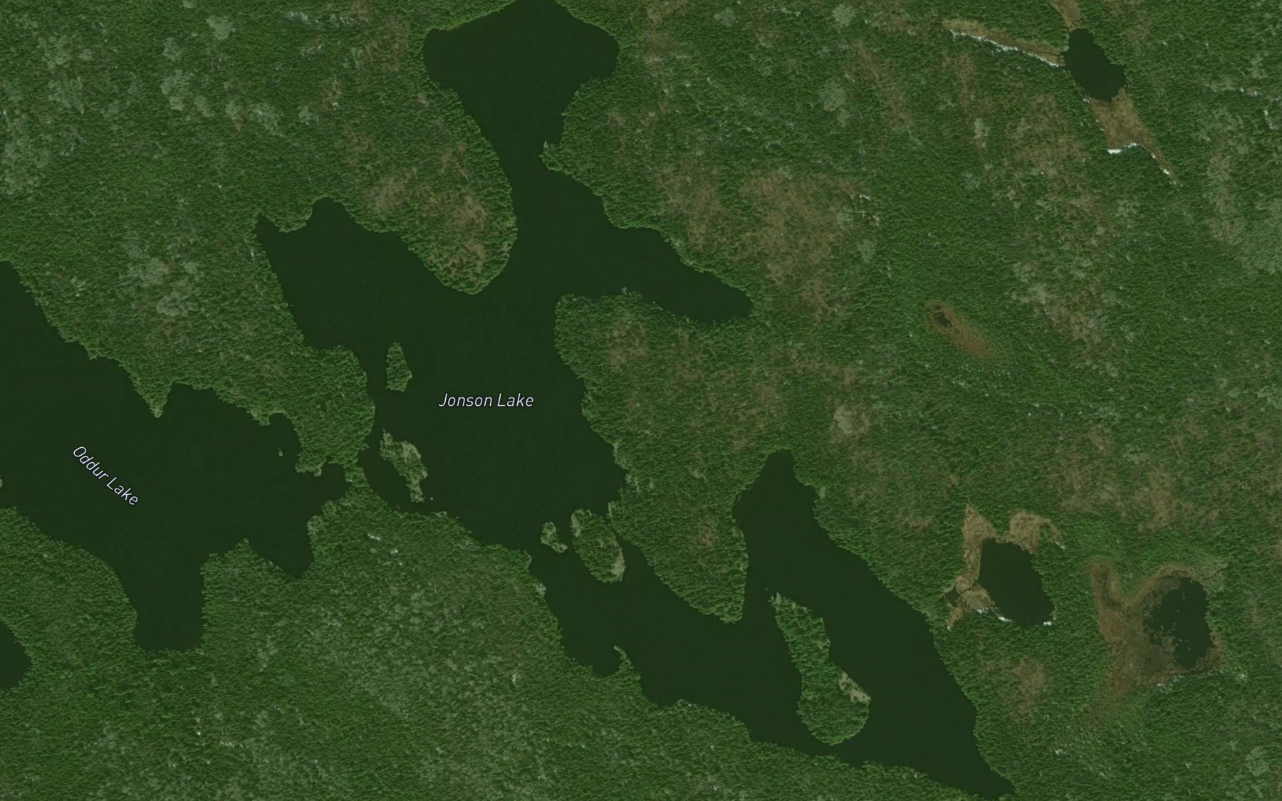Satellite map of the Jonson Lake