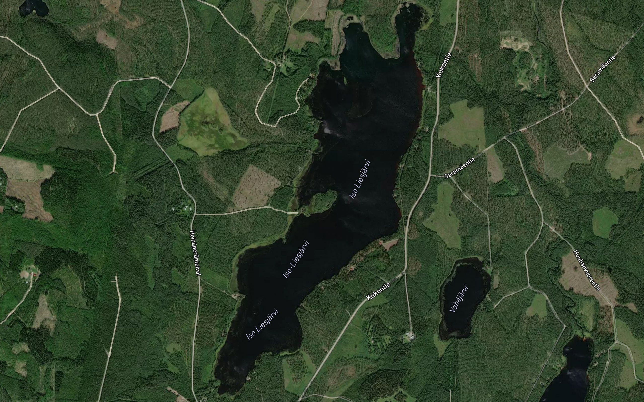 Iso Liesjarvi