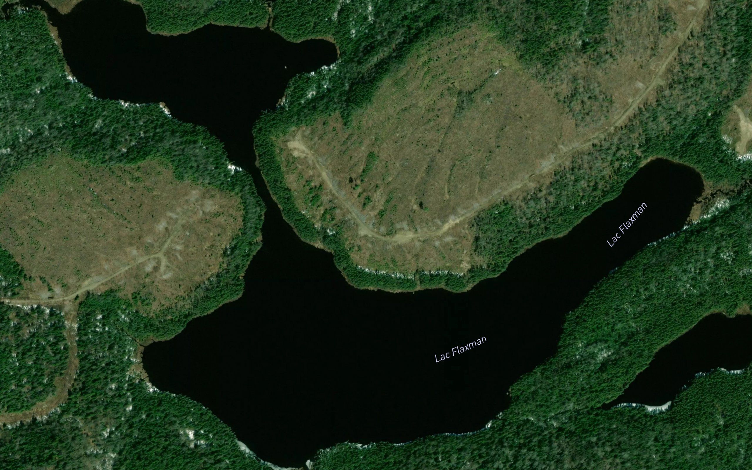 Lac Flaxman