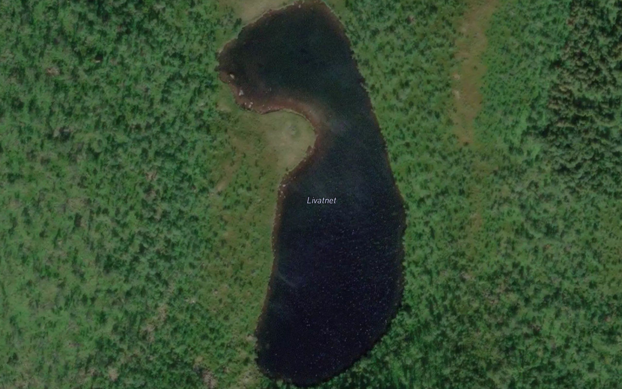 Livatnet