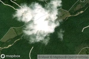 South Branch Bee Fork