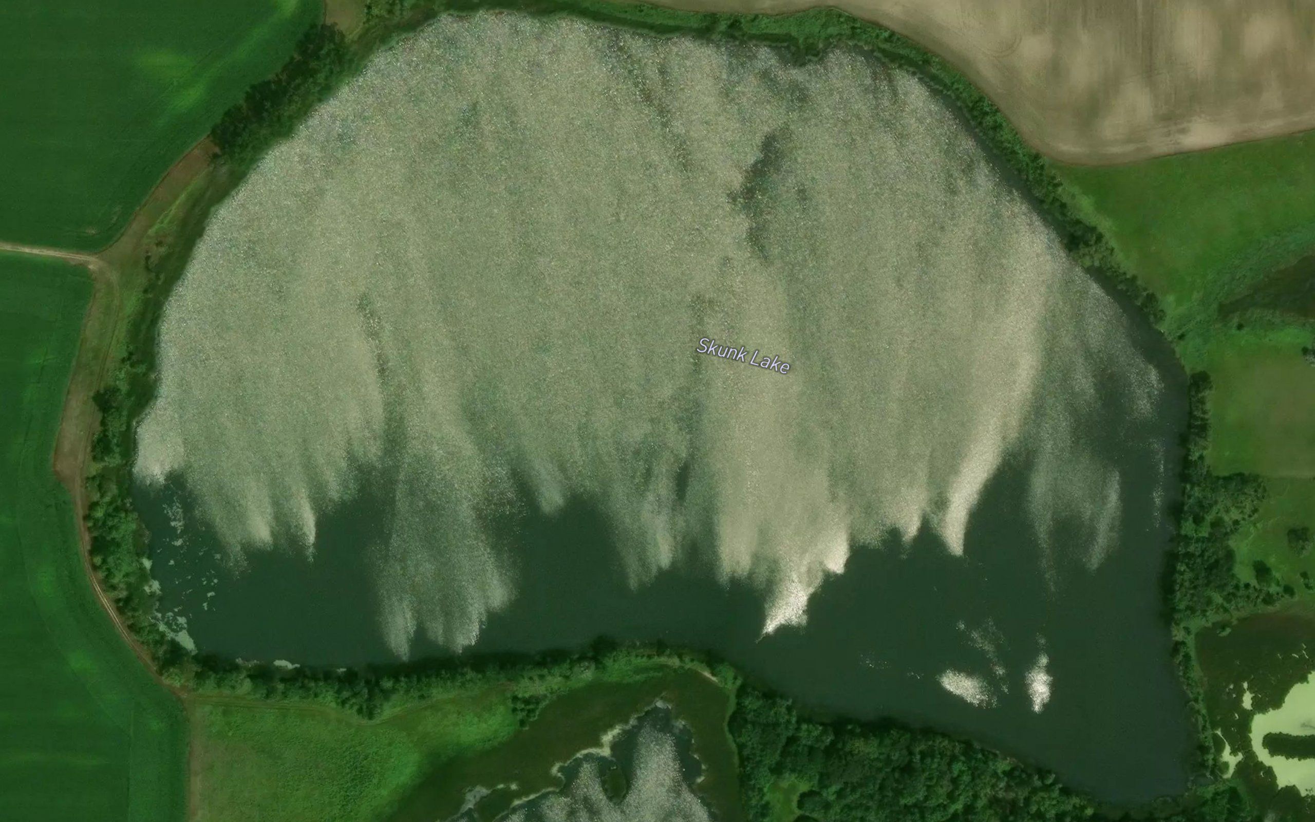 Skunk Lake