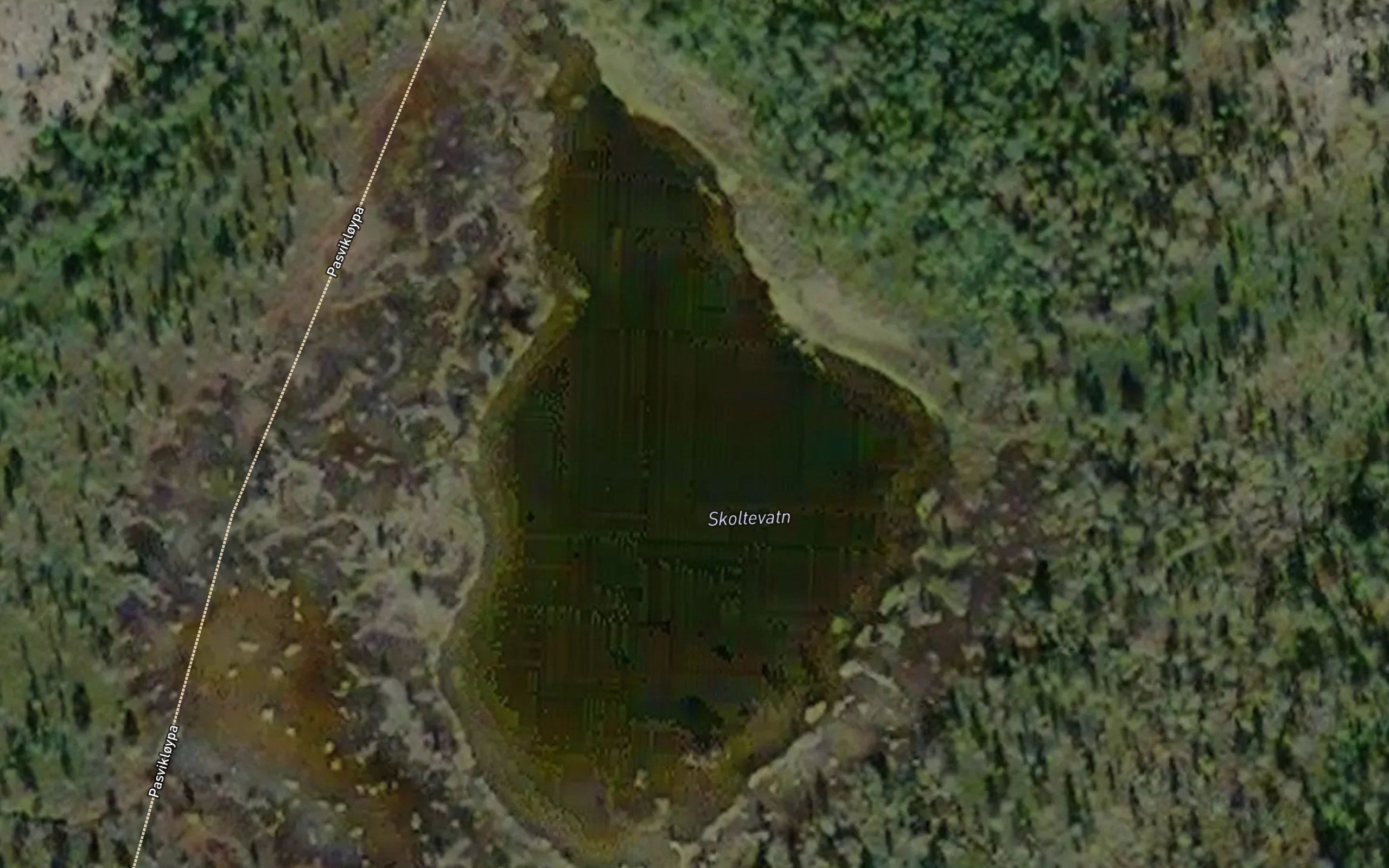 Skoltevatn