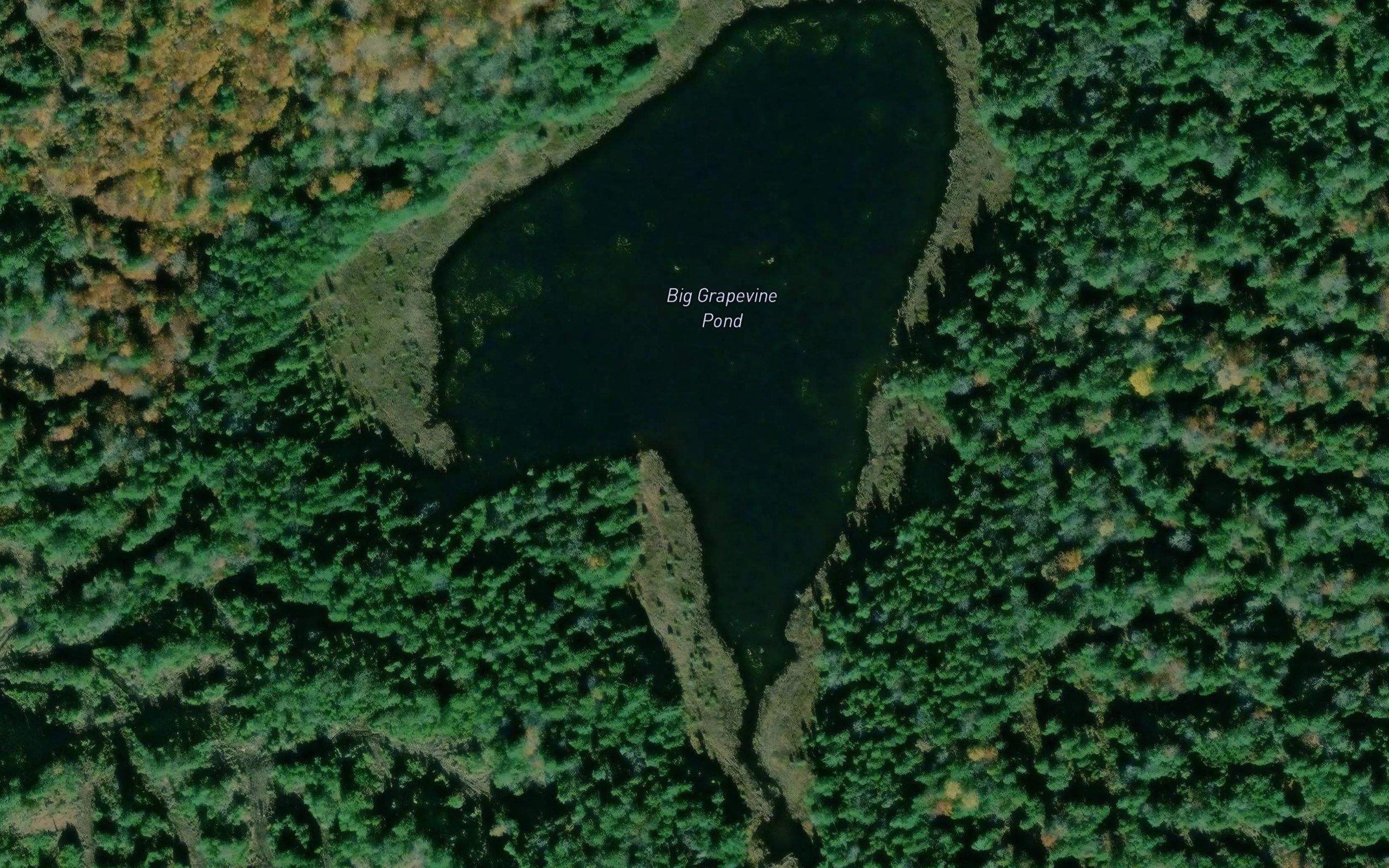 Big Grapevine Pond