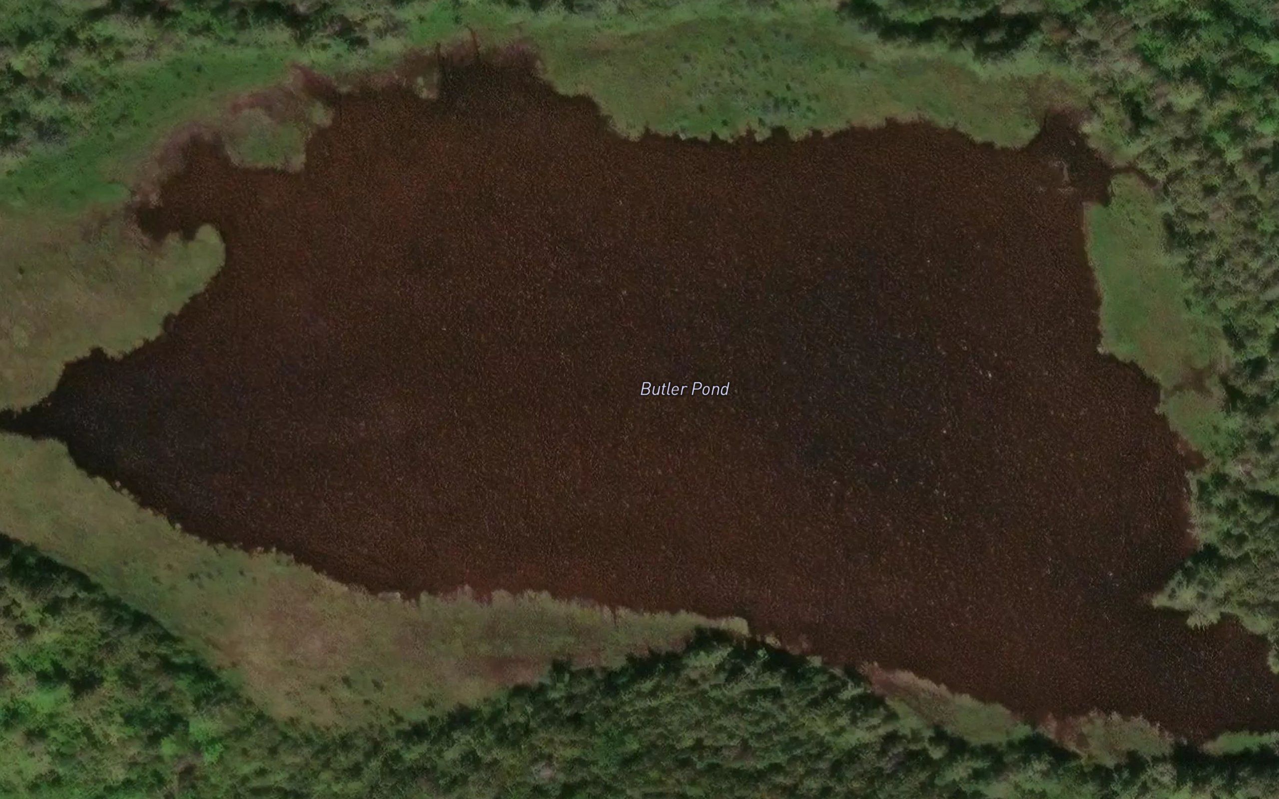 Butler Pond