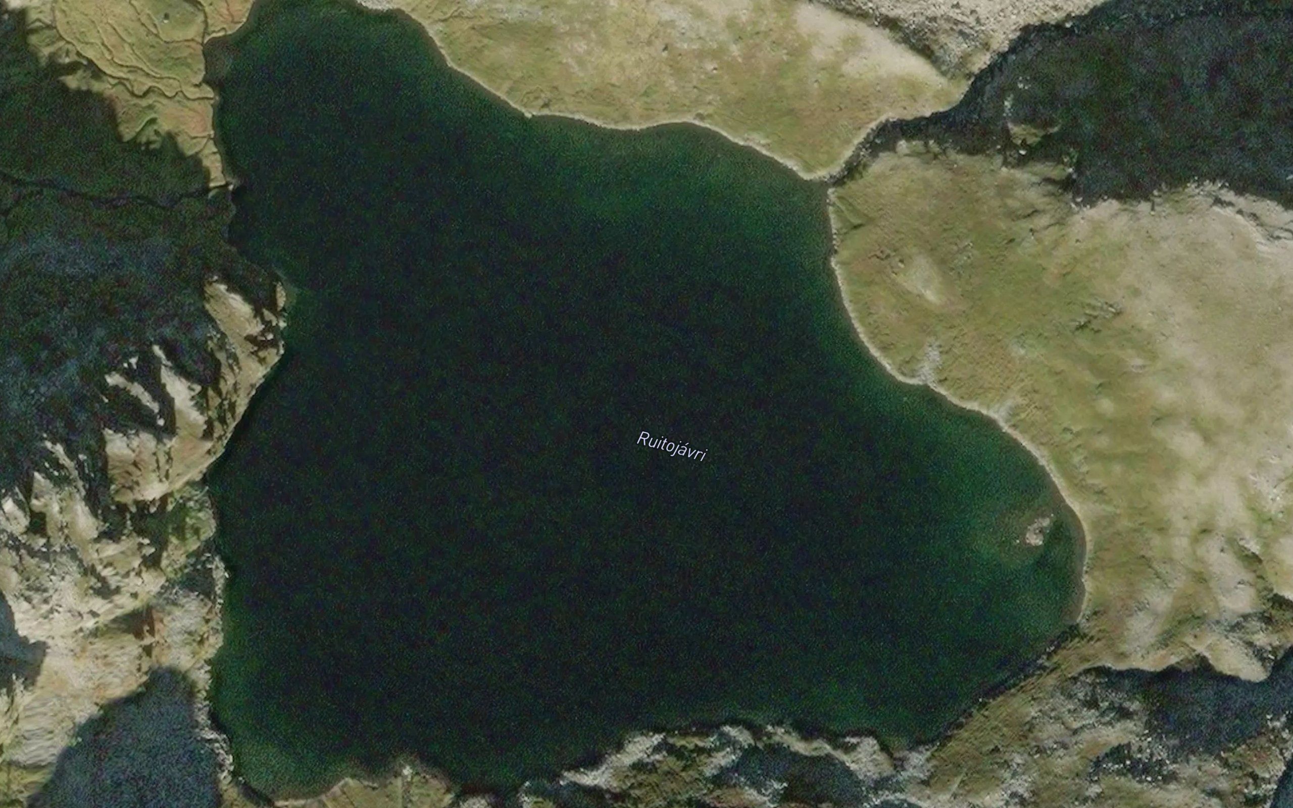 Ruitujavri