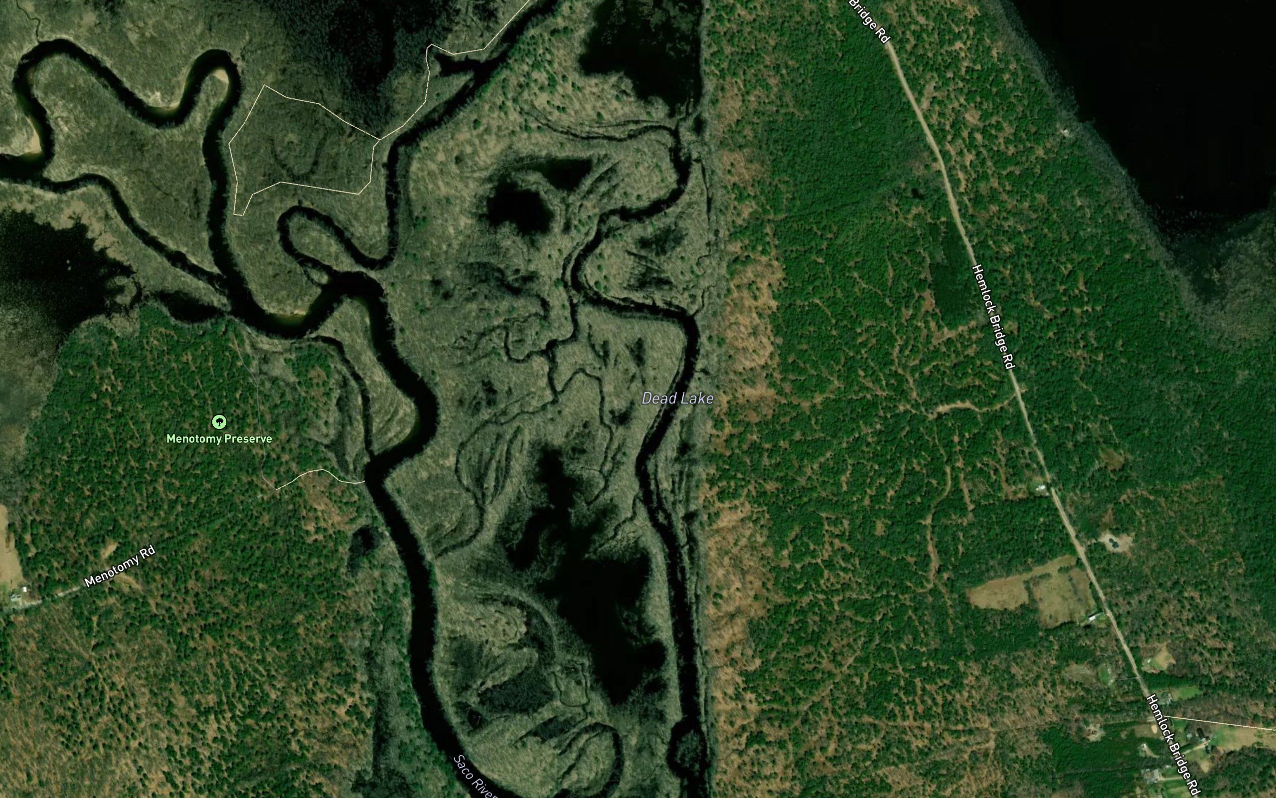 Dead Lake