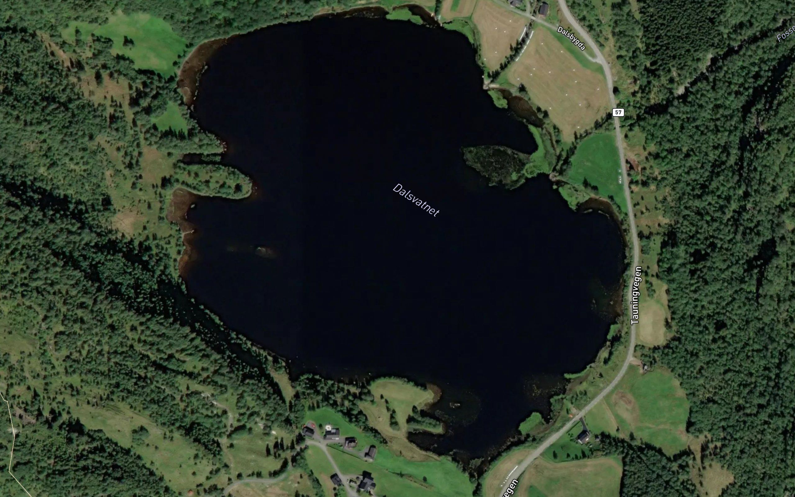 Dalsvatnet