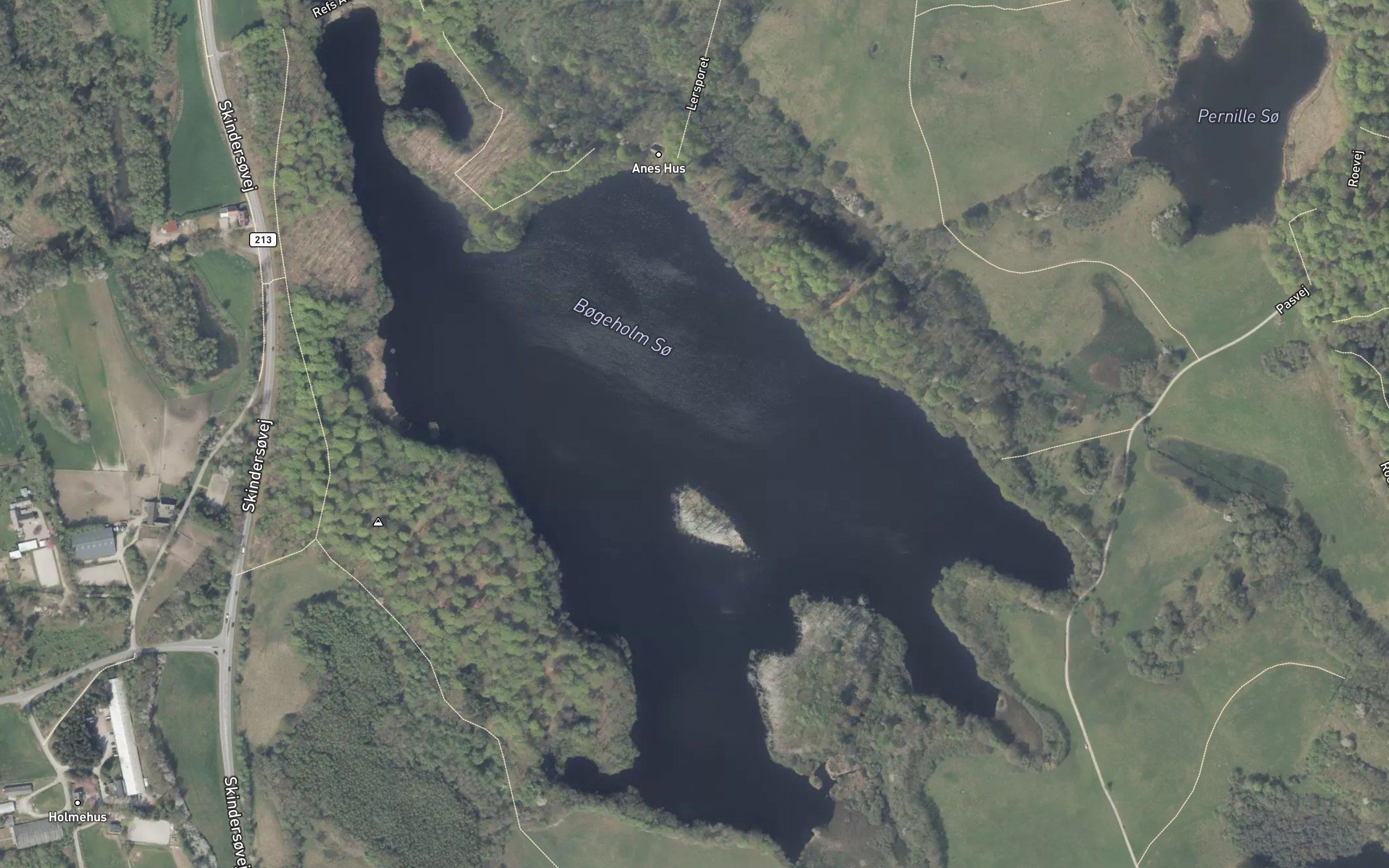 Bogeholm So