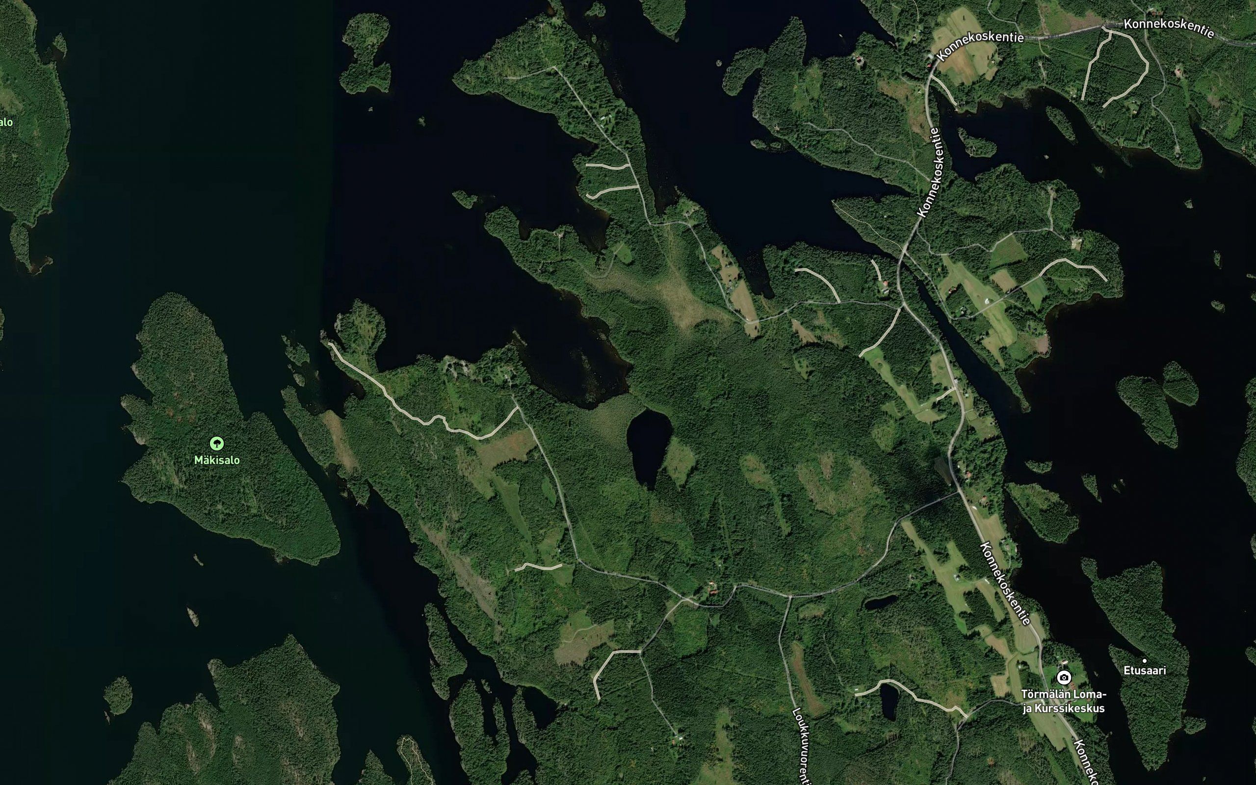 Koivupuro