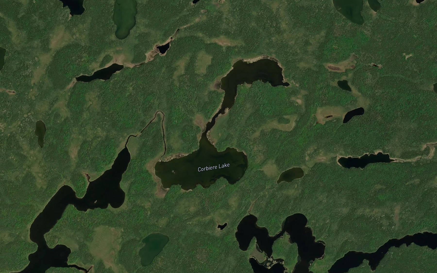 Satellite map of the Corbiere Lake