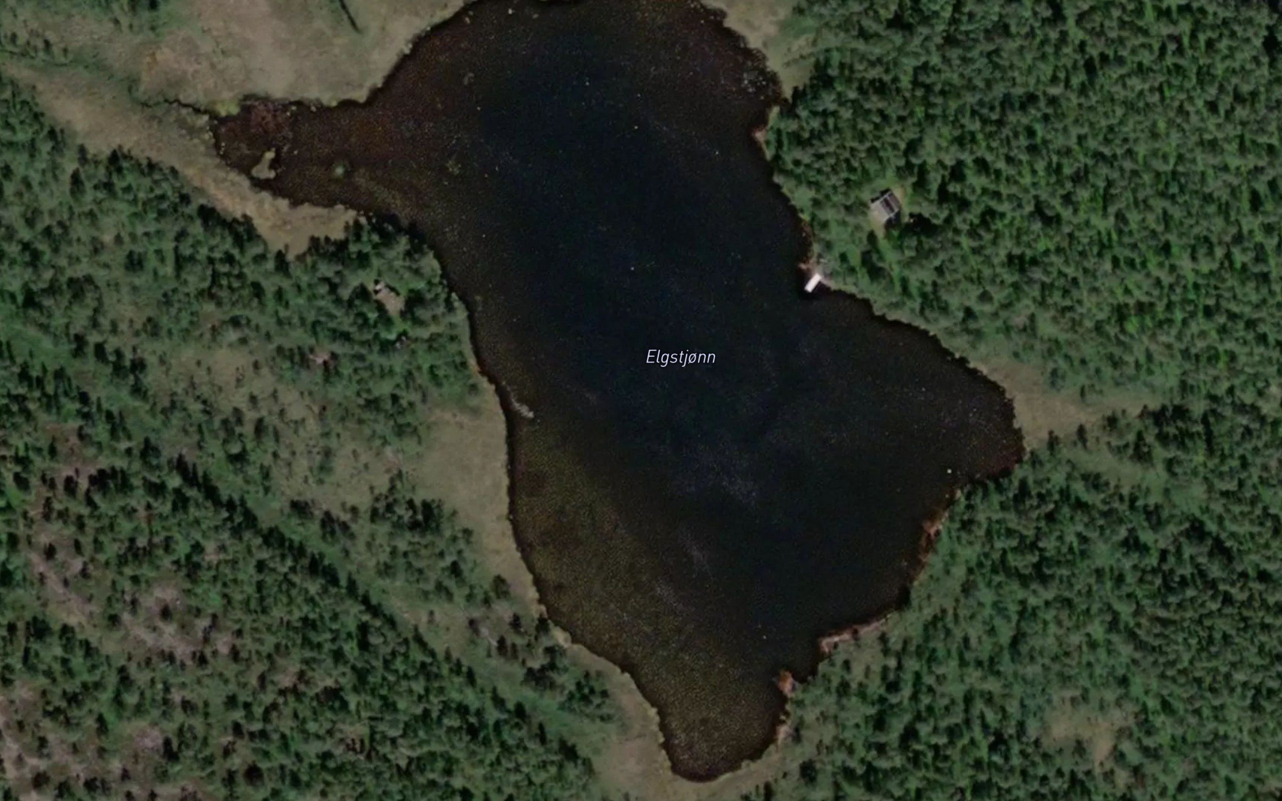 Elgstjorn