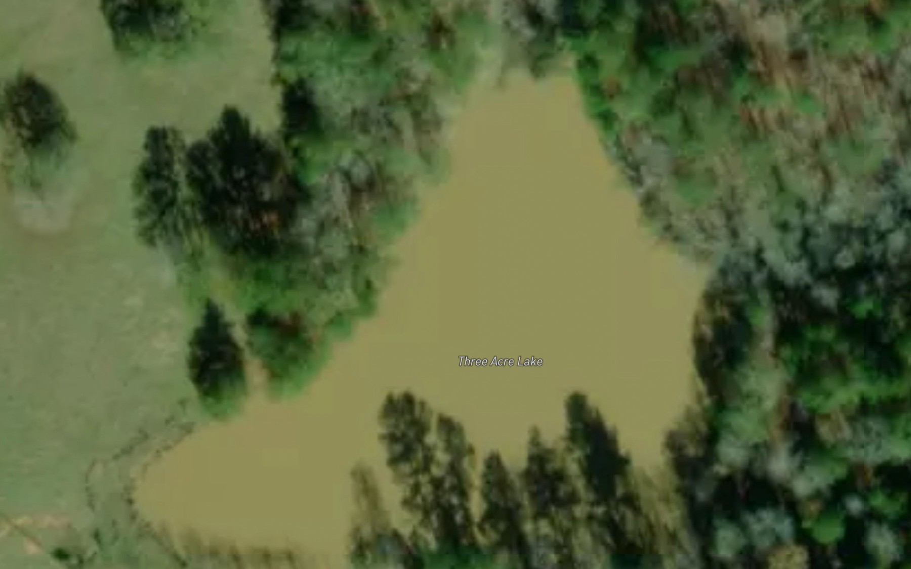 Satellite map of the Three Acre Lake