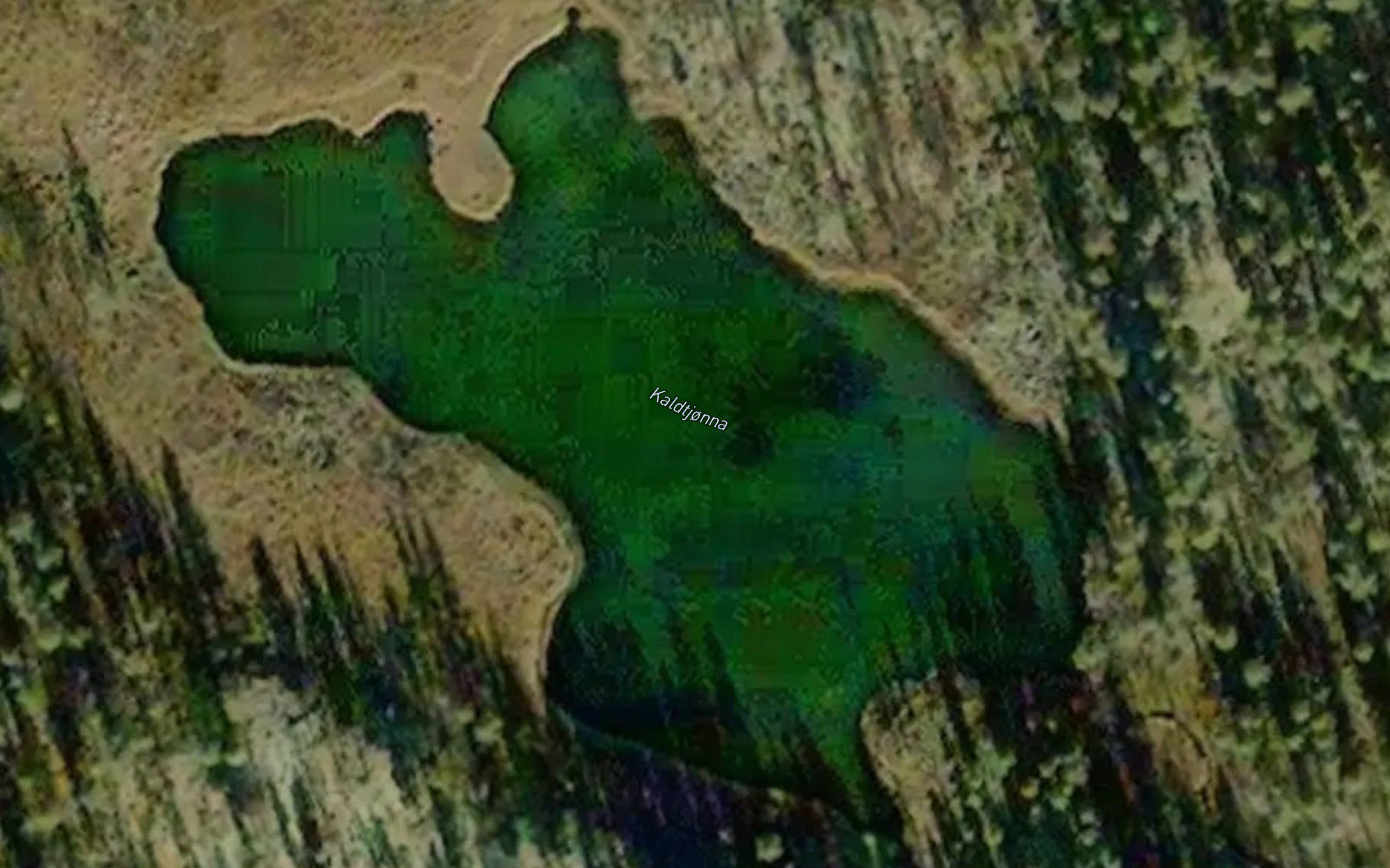 Kaldtjonna