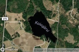 Koivujarvi