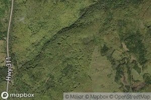McGill Brook