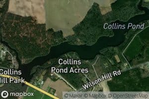Collins Pond