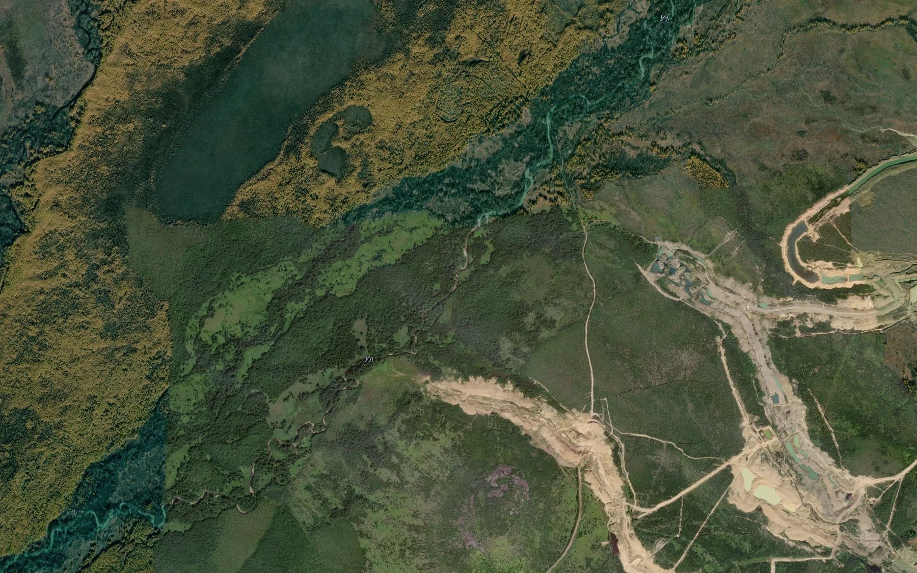 Satellite map of the Kulibina