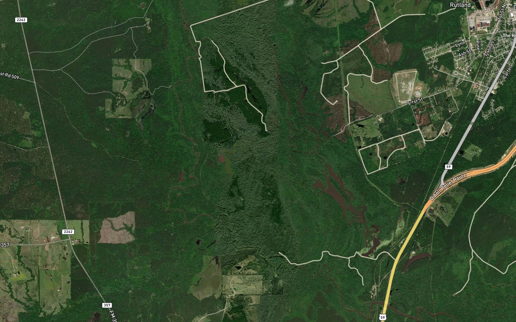 Satellite map of the Devils Lake