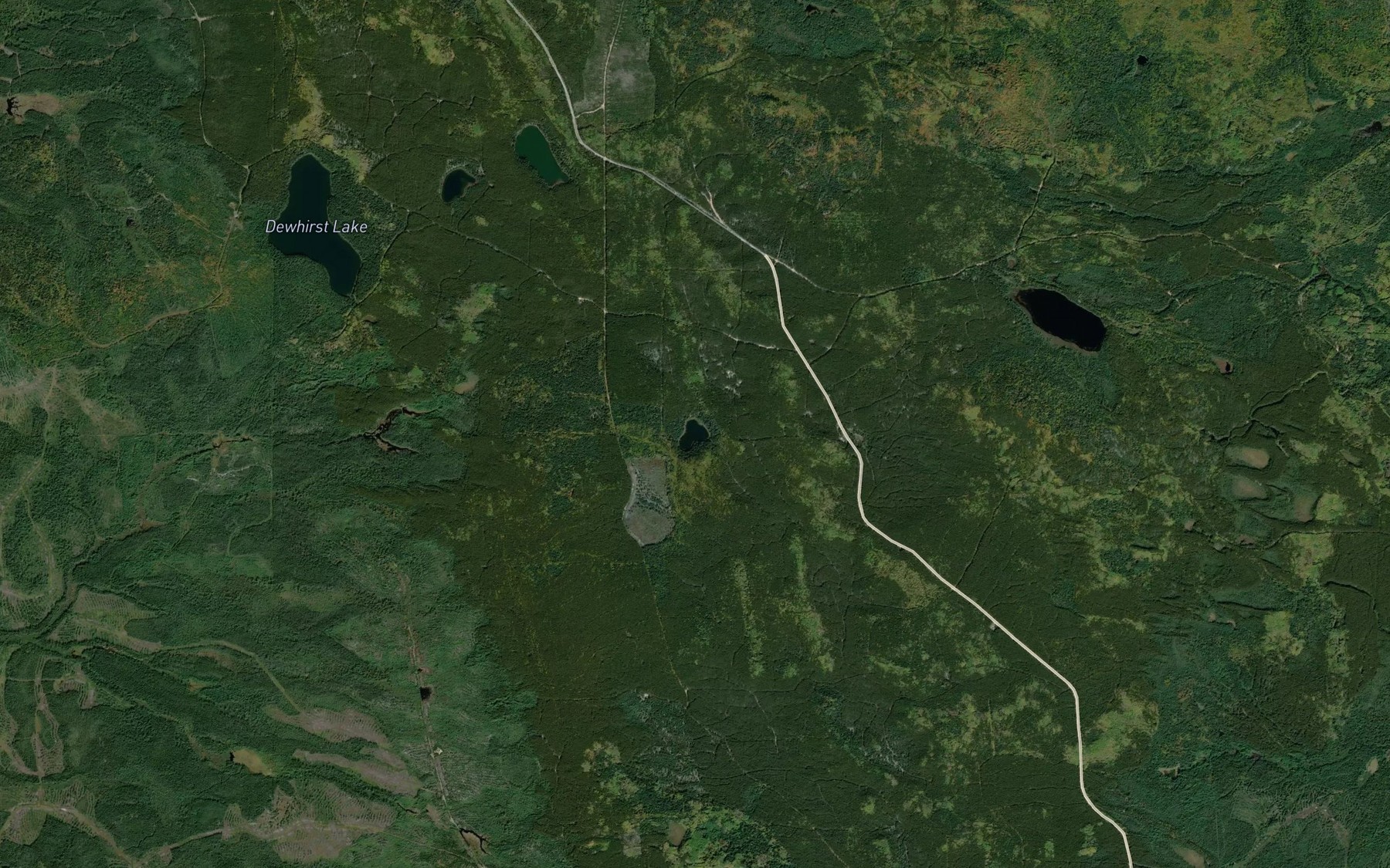 Satellite map of the Lydon Lake