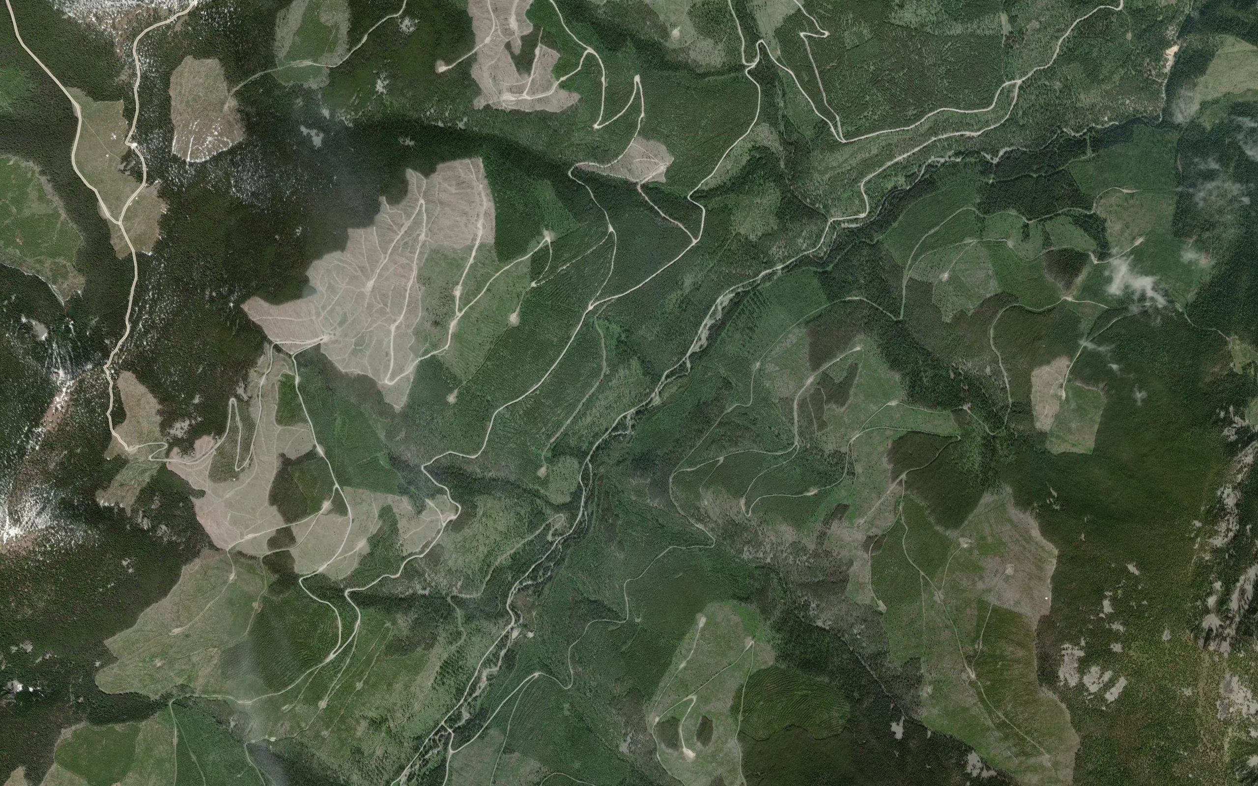 Paisley Creek