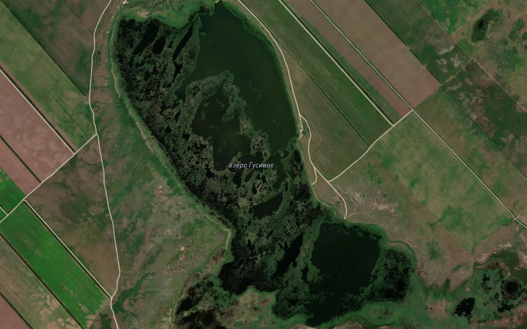 Satellite map of the Ozero Gusinoye