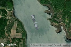 Rice Lake