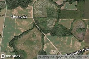 Alligator Pond