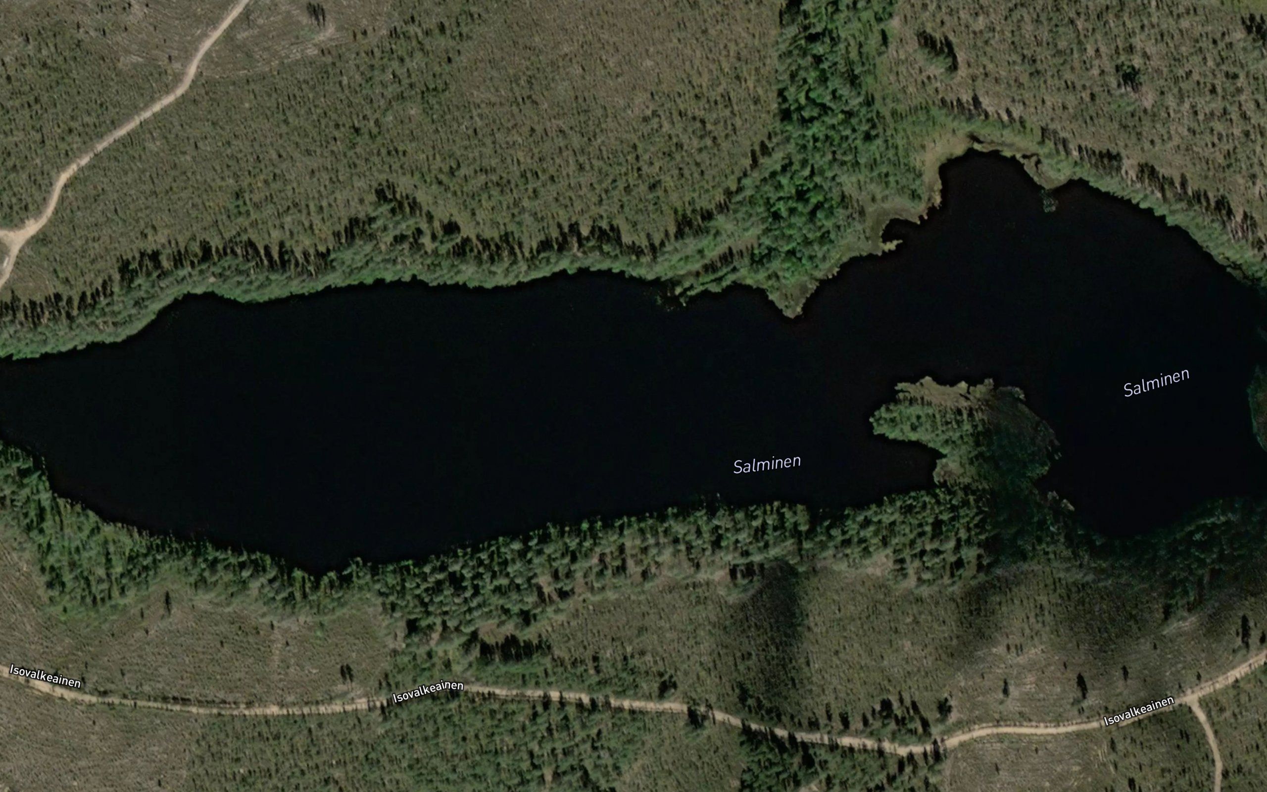 Salminen