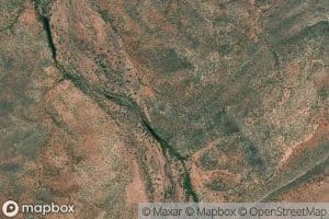 Black Tea Tree Creek