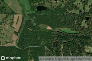 East Branch Strayhorn Creek