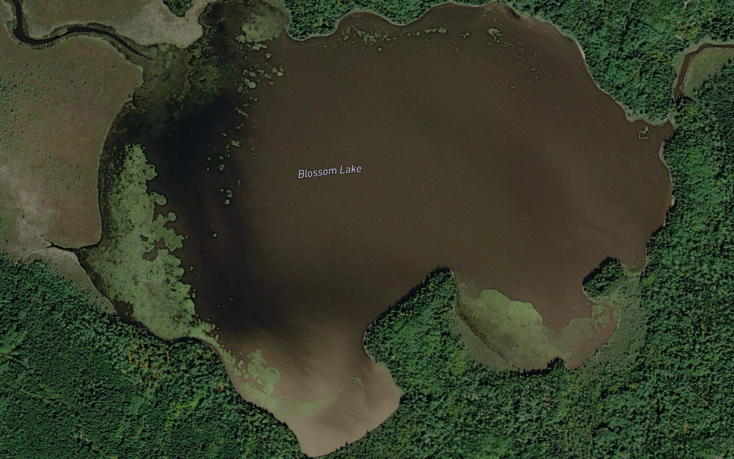 Blossom Lake