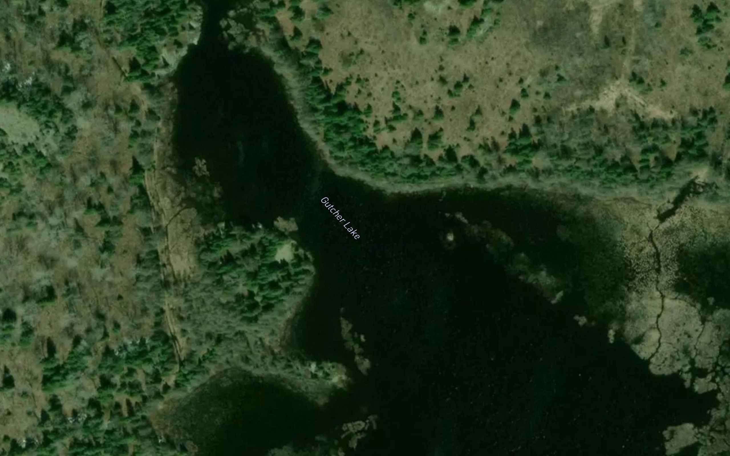 Gutcher Lake