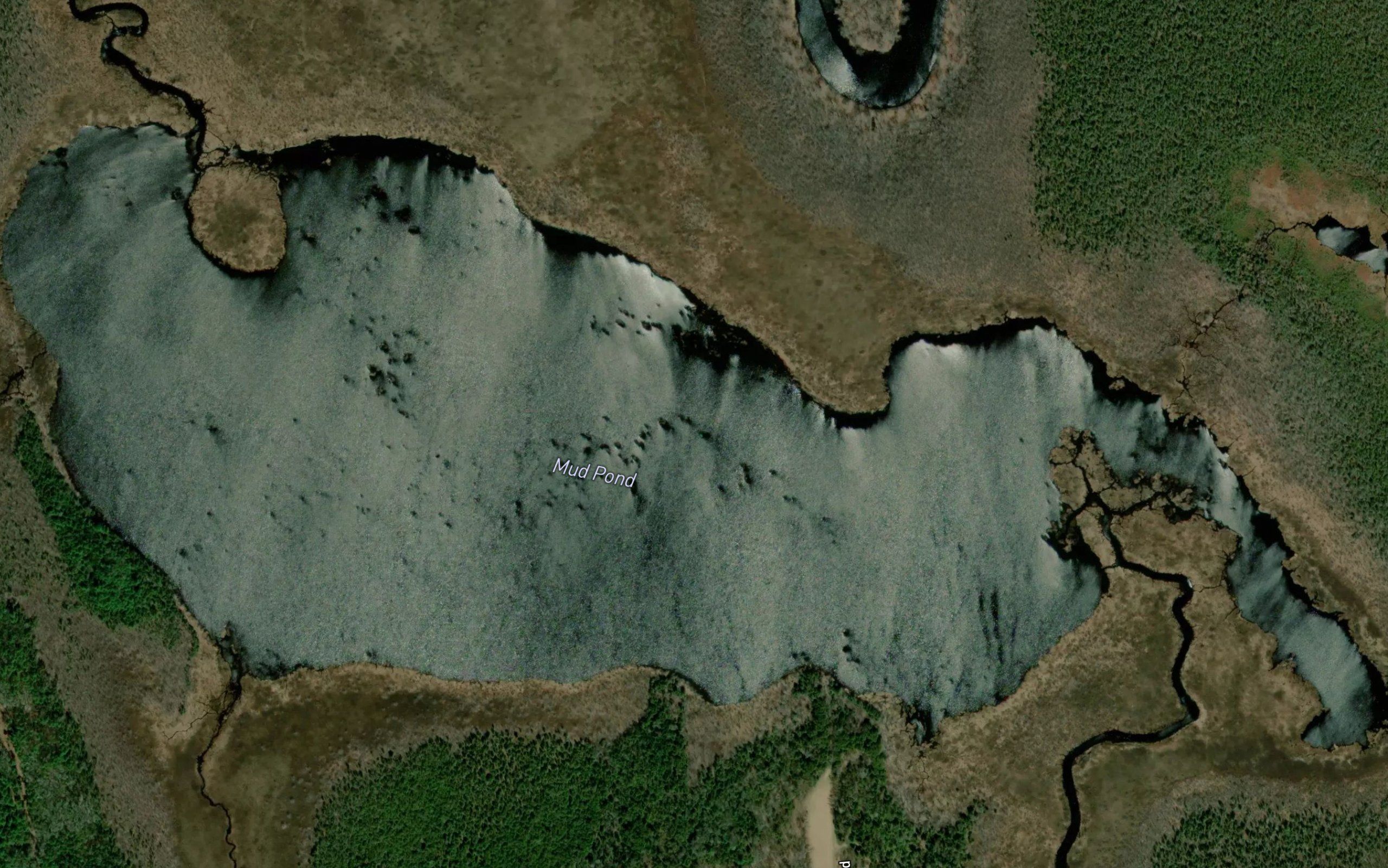 Mud Pond