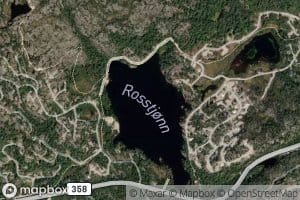 Rosstjorn
