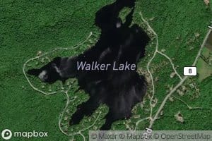 Walker Lake