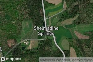 Shelmadine Springs