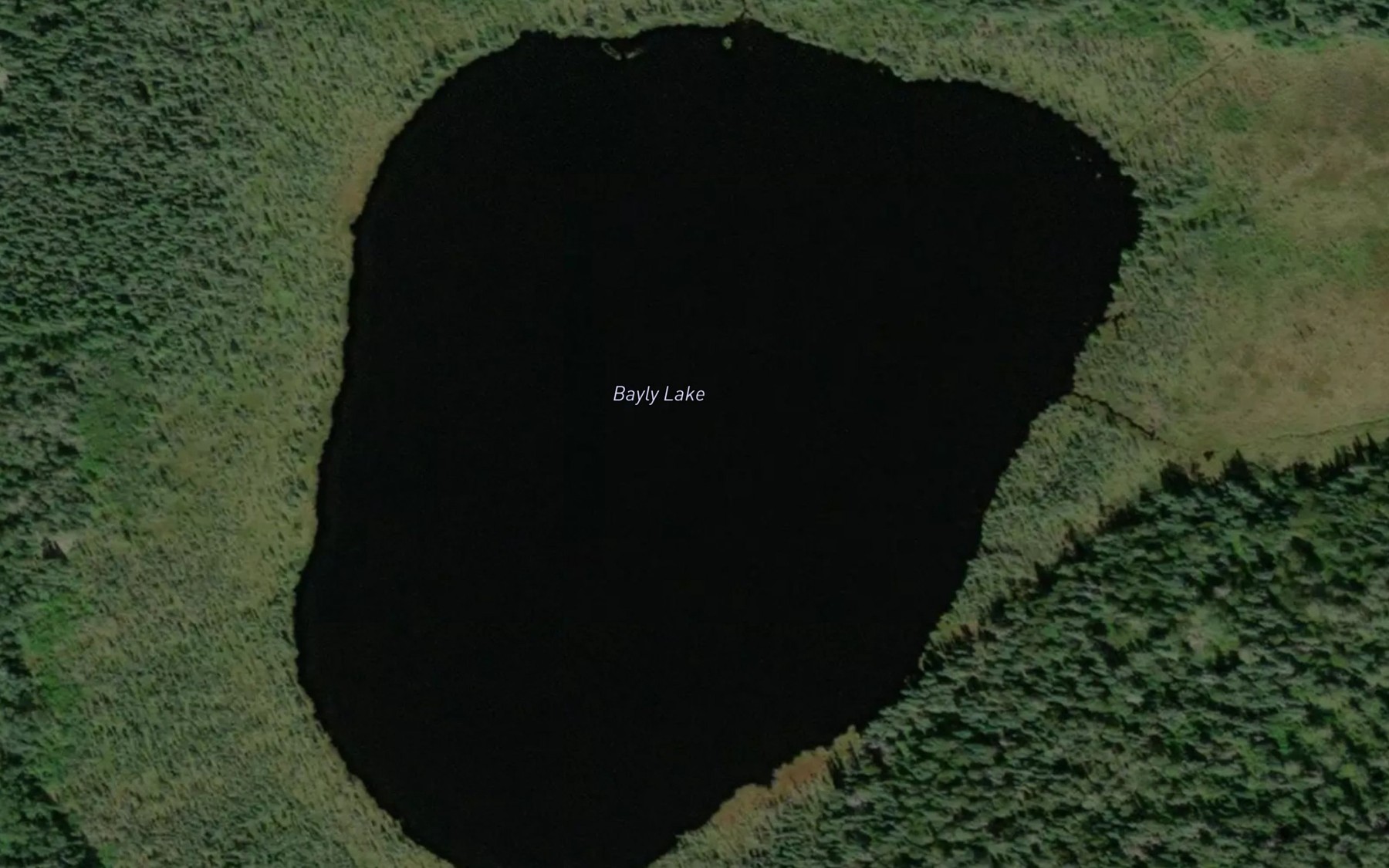 Satellite map of the Bayly Lake