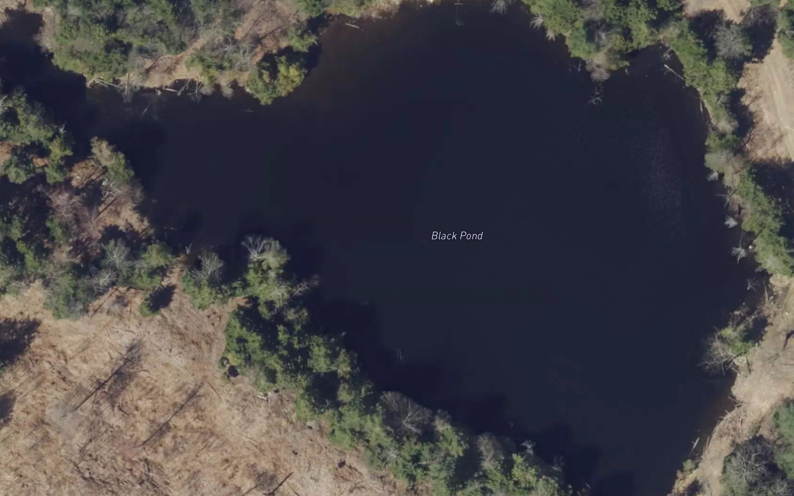 Black Pond