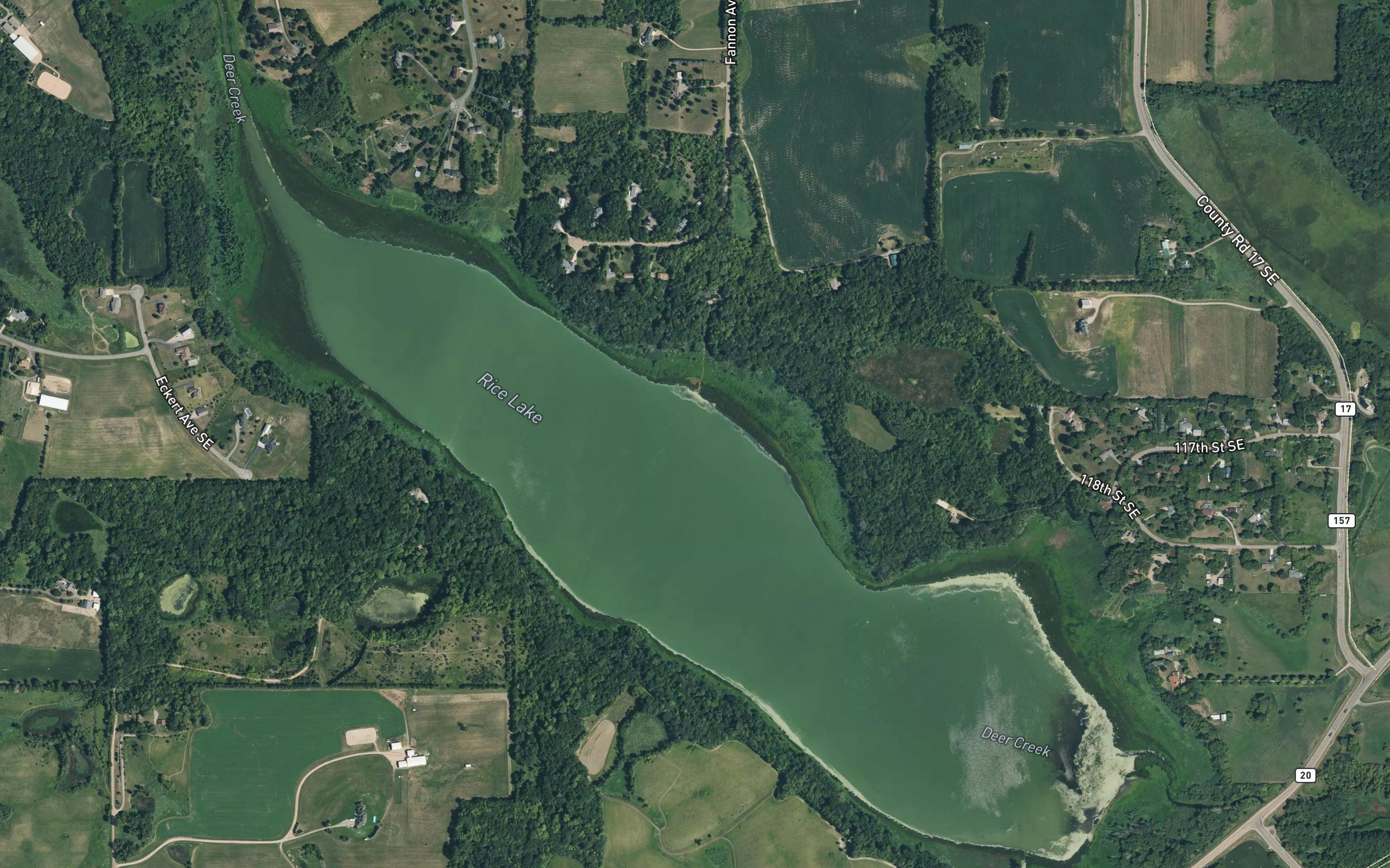 Rice Lake