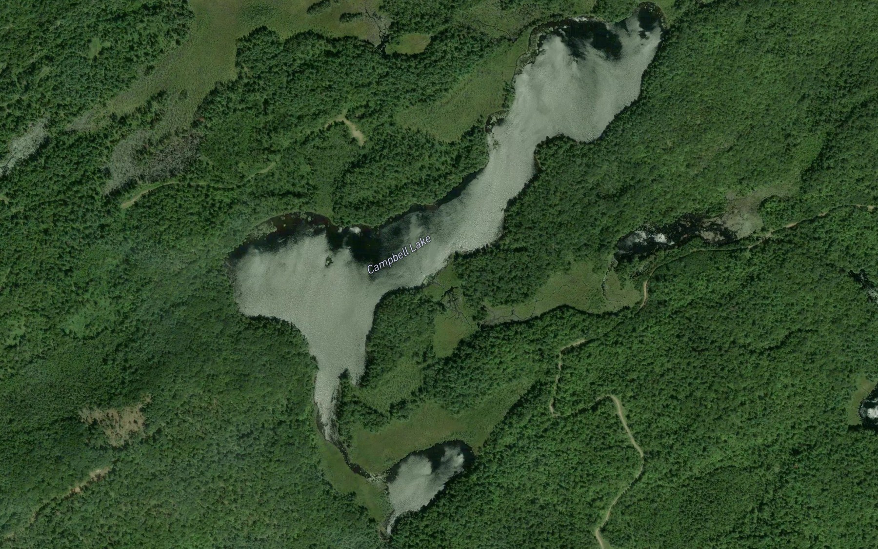 Satellite map of the Campbell Lake