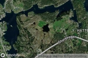 Hattetjorni