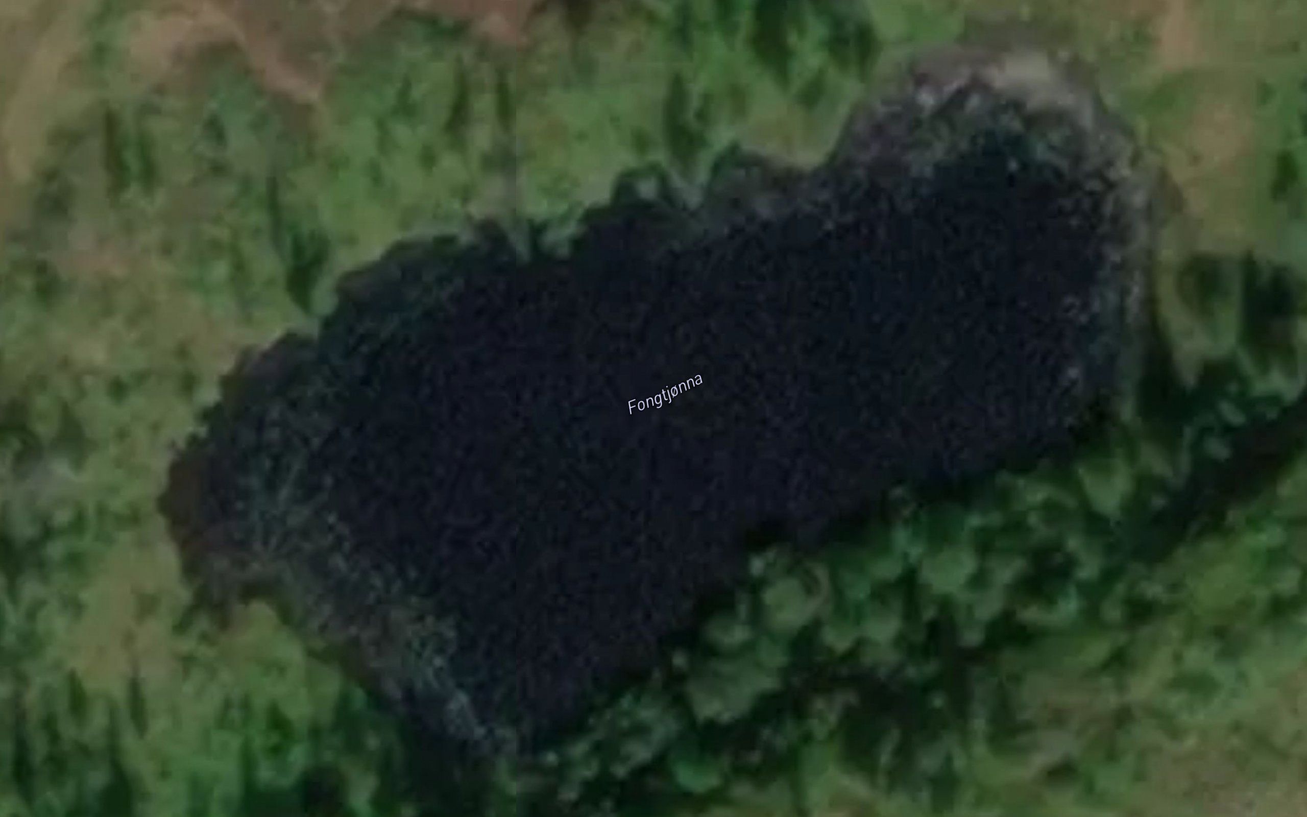 Hesttjonna