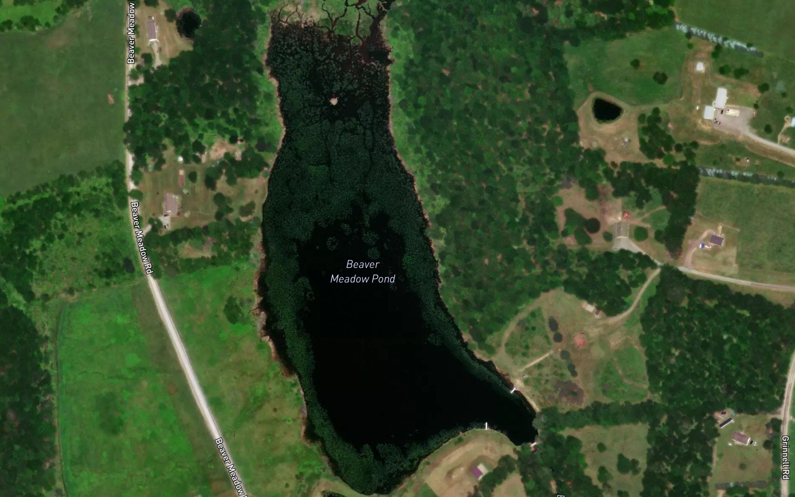 Beaver Meadow Pond